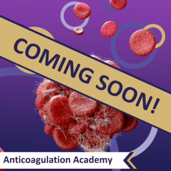 Website Event Pictures (12)